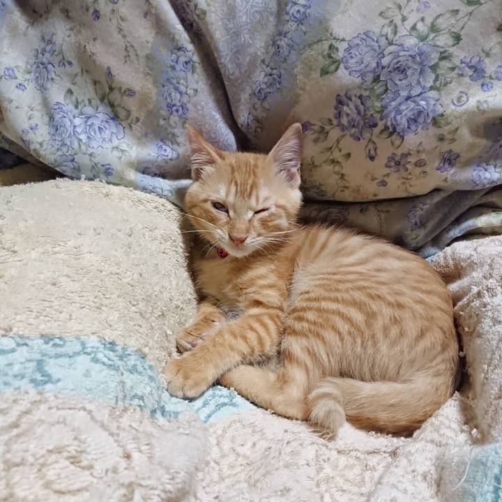 2581ad8a 0cbc 4219 80ca 0f048c0a5de3 1632398180142