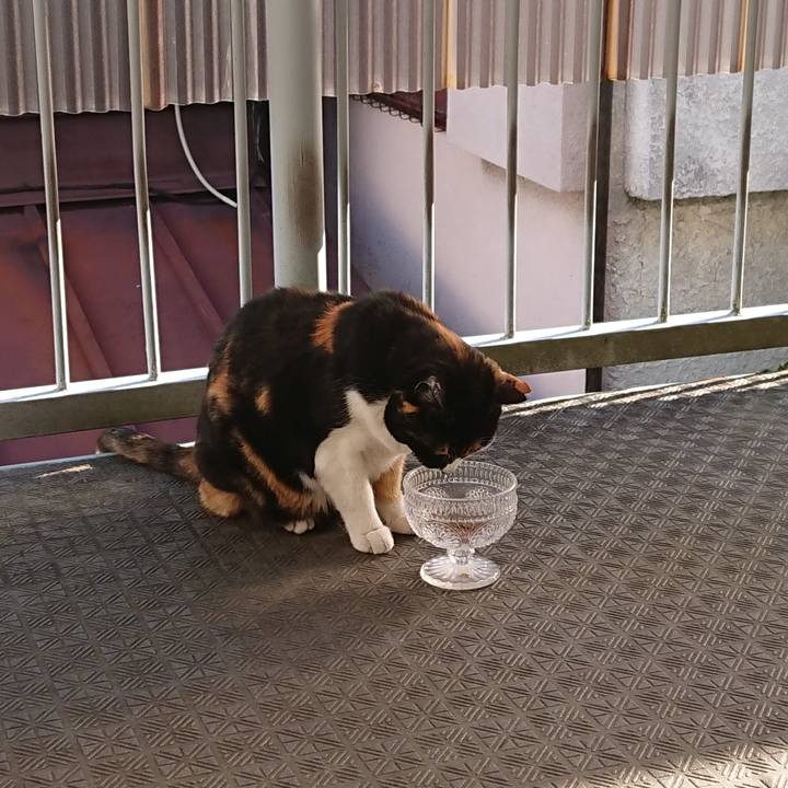 2581be2e f2fa 4d62 aaef 4d2e1cf40b43 1619995752523