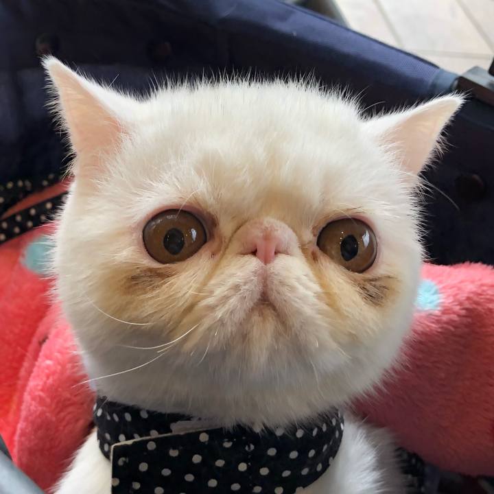 2581d3e7 8919 435c ae60 8e8bcfdb12ab 1554012856363