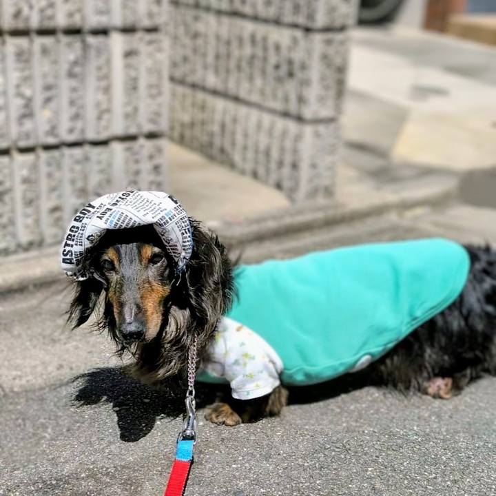 2581e127 2e06 4486 8ff8 4c34574d073d 1764138722527