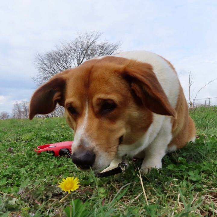 25822e89 42eb 4d2b 9ecd 944c7c4c6847 1647739981154