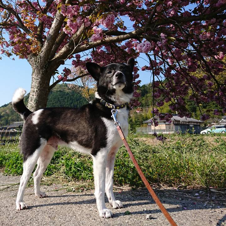 258231ee 356d 4958 8702 7138b5234c25 1588290157853