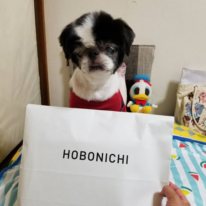 258275c0 acd8 4dec b913 7b967a9f9a88 1625047613447