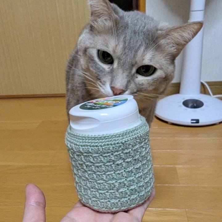 25828397 1d37 4831 a1b1 87b9ff5b15b4 1766729985833