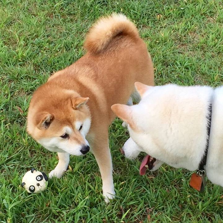 2582af2f 8bf2 4cd8 b01e 89dbba58a2f9 1565250588668