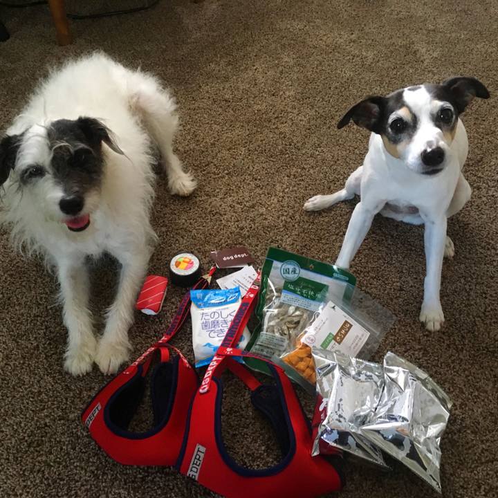 2582bda8 715a 4f01 bd97 0efca3d52716 1525089833702