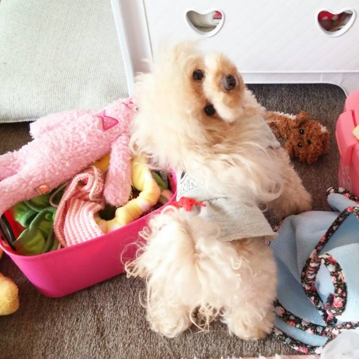 2582cc0c 87ad 4028 ae30 d052ecb75e32 1542183420165