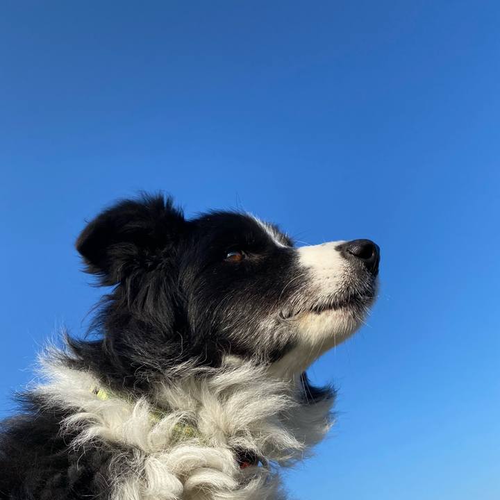 2582e9b8 7eb9 4427 9ae9 cd882aec5887 1637887404398