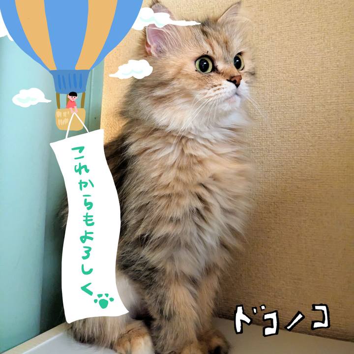 2582f6c9 d4dd 4170 afb2 5ceda5b0ef0c 1685958500051