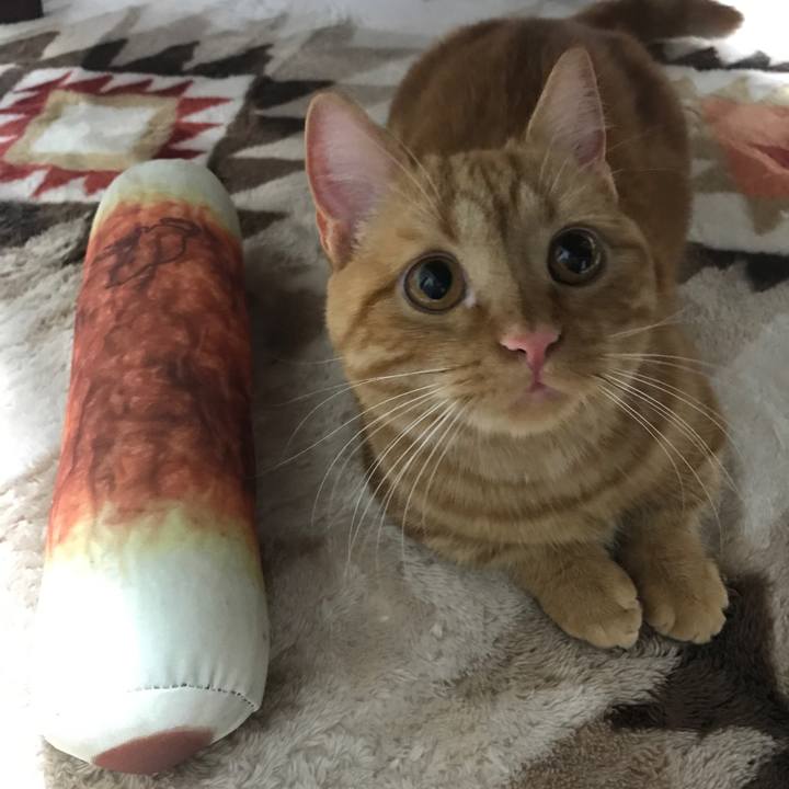 25837ec5 7908 4018 85ff e415f34a31a6 1517105463183