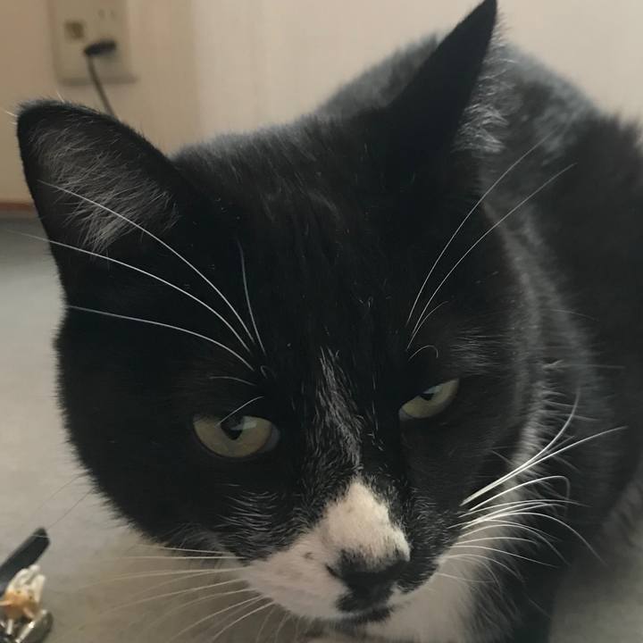 258380d8 e3c1 43a3 9803 eac68d6537e9 1576320363921