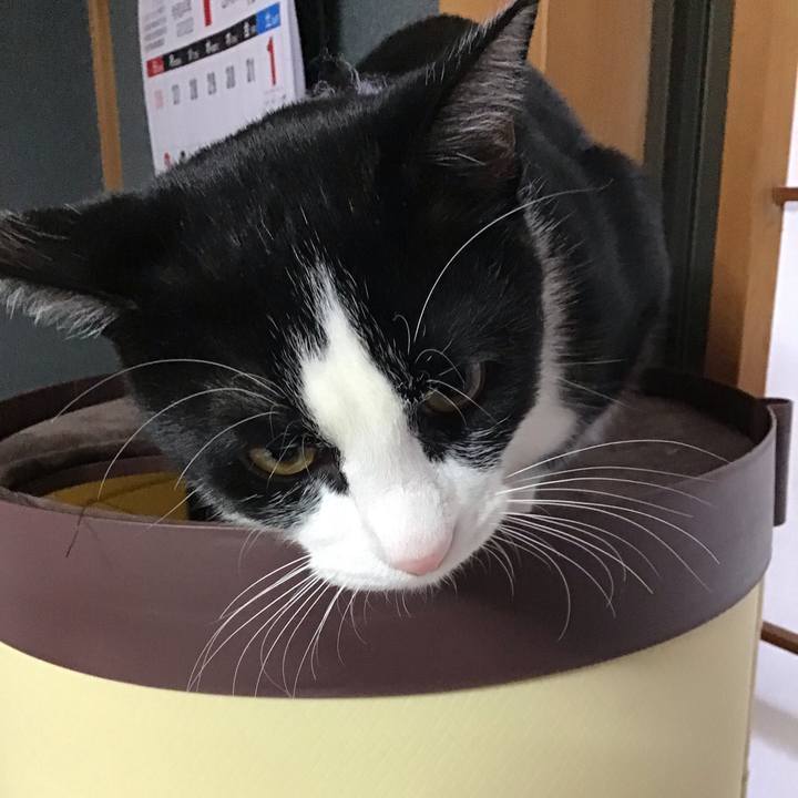 258382bc 1453 4529 a127 c9470dbfea5c 1641439518829