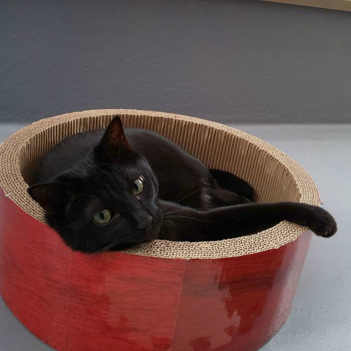 258385c7 55ff 456d 8589 31db9a6caeb3 1589512202627