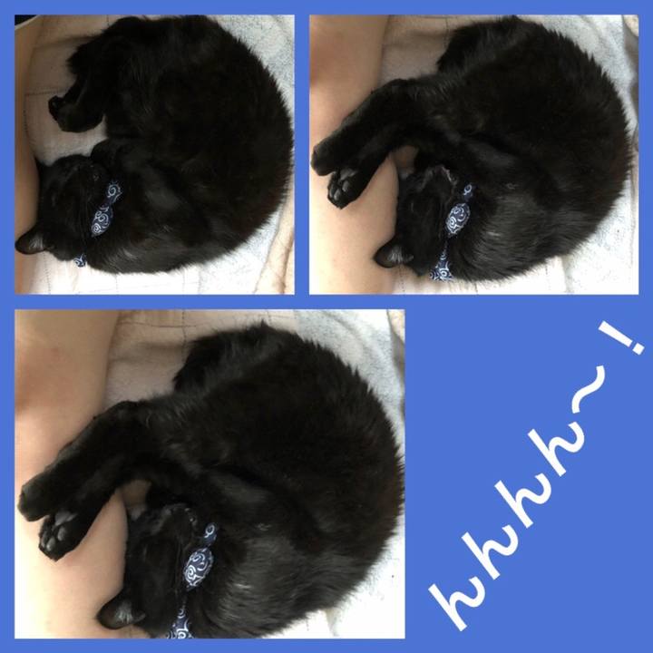 2583878c a13e 4919 a0f2 27e1900016a5 1556712821815