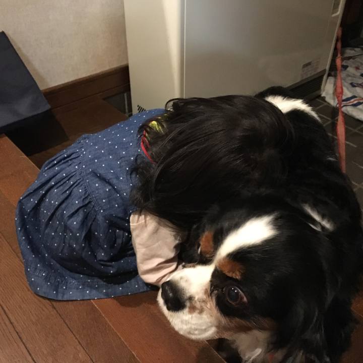 2583c175 7b94 40f5 8588 80df7c98d158 1508503929410