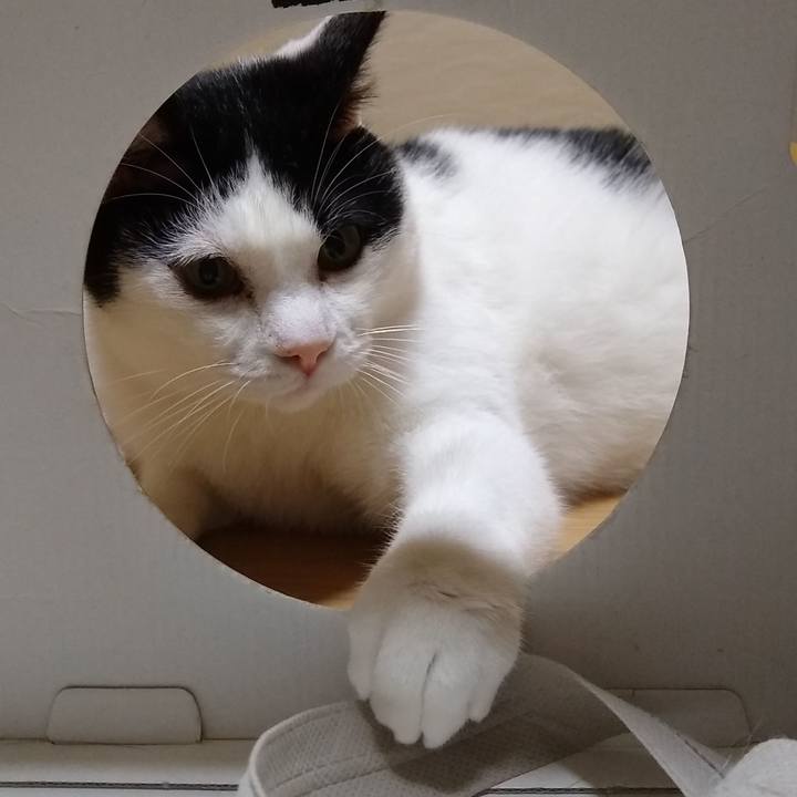 2583cd00 dc34 4c20 b6b6 e6401932f819 1560768793306