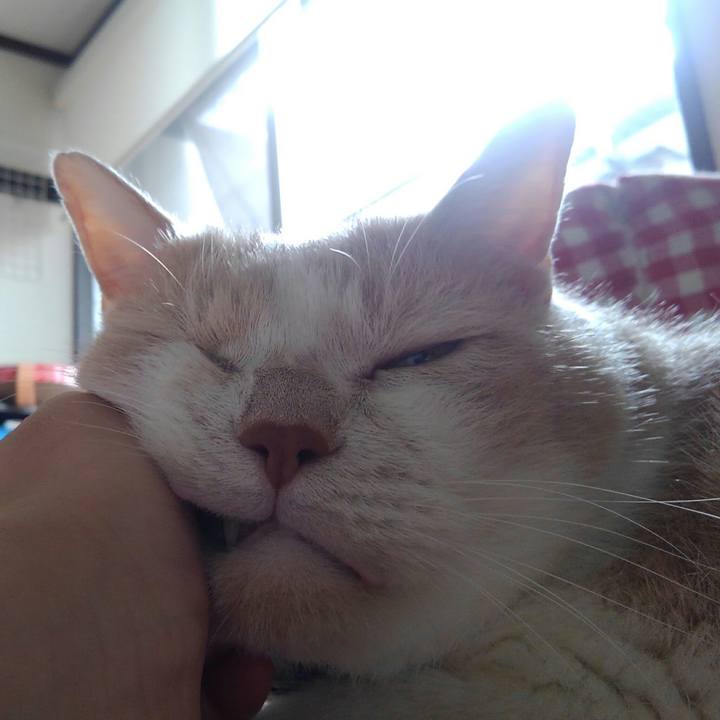 2583ee04 63cd 4930 b26e 950610d55094 1567905478288