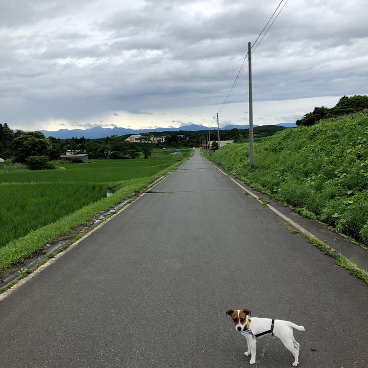 2583eff5 0dd2 4ad2 b7e7 e39daafa5bad 1530929510228