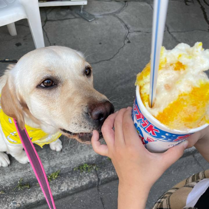 25840cb8 e87e 4c23 800d 0f3b746a3747 1653376727555