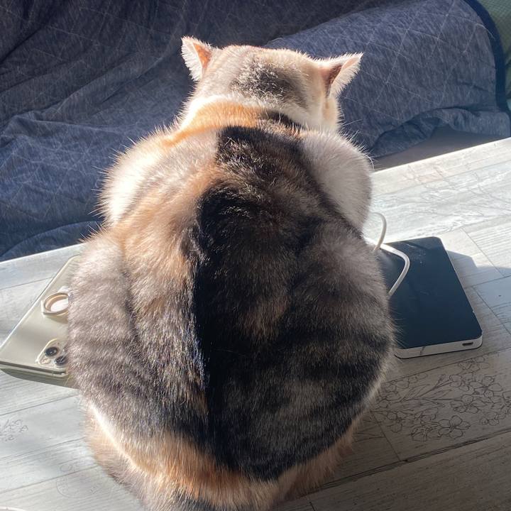 25842256 f32b 4013 9cbe 175a82b74f57 1637798808572