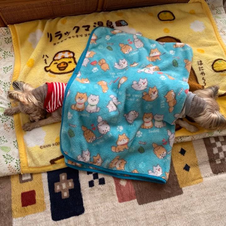 25843681 beea 4f6a 9e57 dadd67775a4d 1676711193986