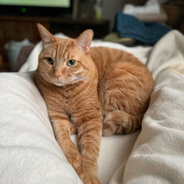 25845a46 0c35 4383 909e 4faf620b3253 1676538114797