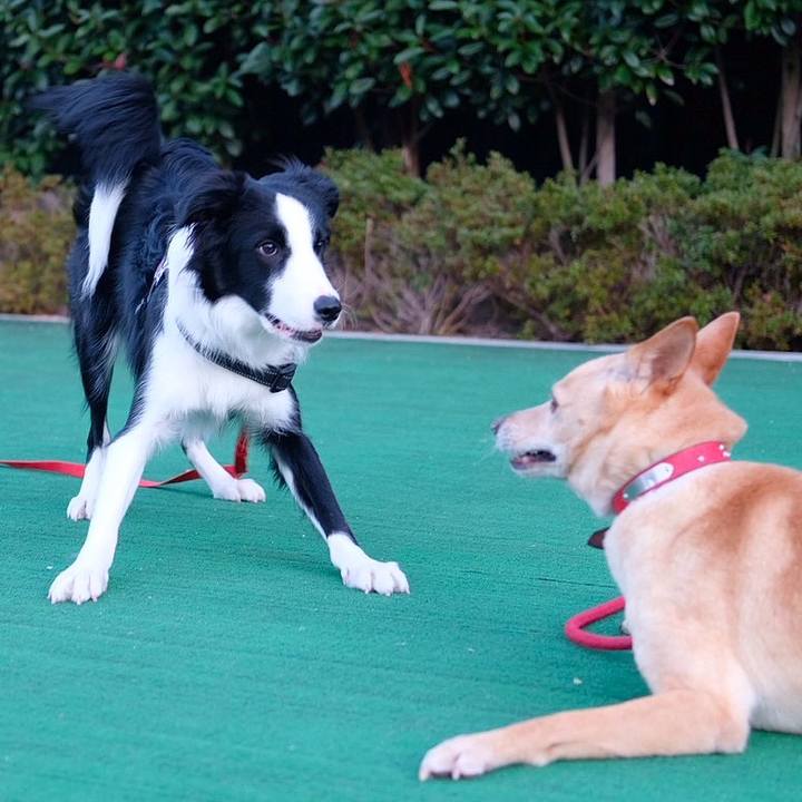 25847f96 865d 487a a802 e8bd559156d3 1765009240155