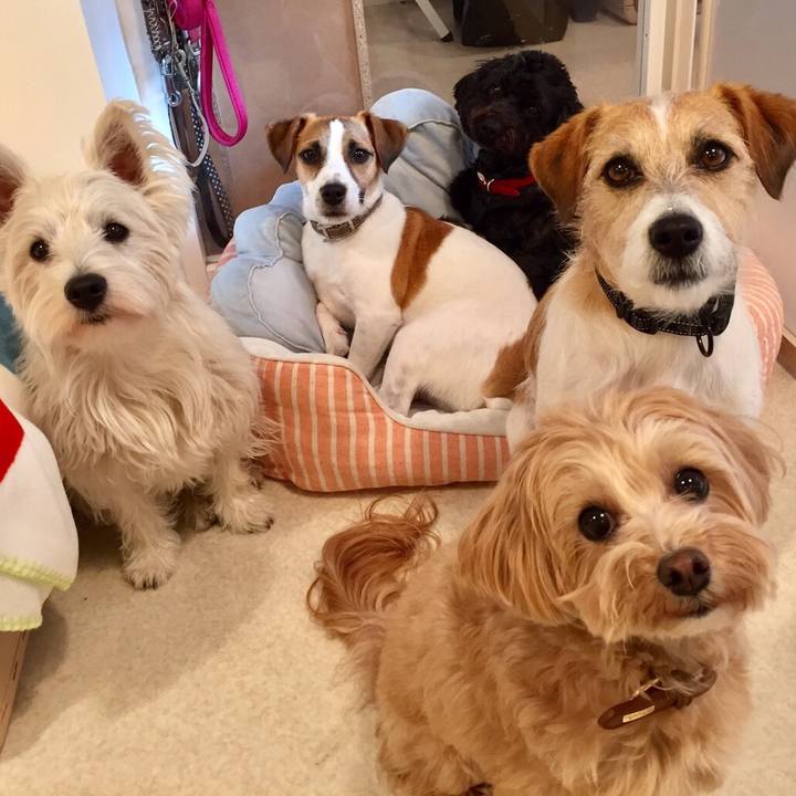 258489cc 7ad8 4d27 bc26 9ea84ac1c61f 1554524120115