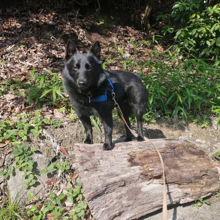 258494a3 3905 4766 bc92 e40a2ef63564 1621725742807