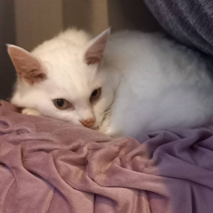 25849ebc a35b 4426 ad79 8de6c233701a 1651015372667