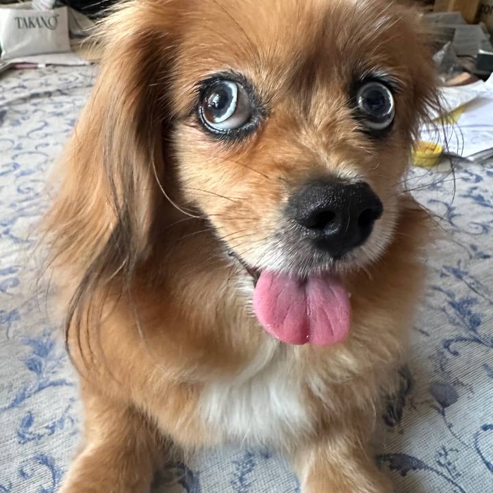 2584a622 1e61 4414 b0d1 dac79ebd4a44 1690751816575