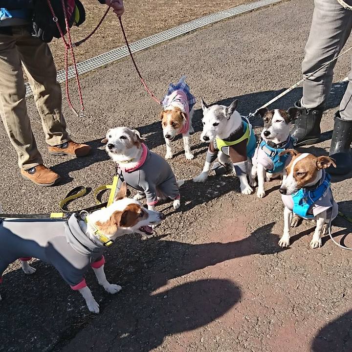 2584b8d0 dd10 4ba1 9e00 ba3cfdb3da59 1547360409176