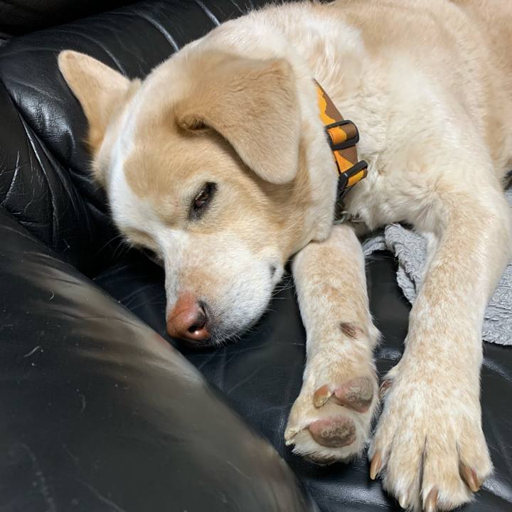 2584d443 8299 4cd9 894d e2e30ce80e2e 1582935920285