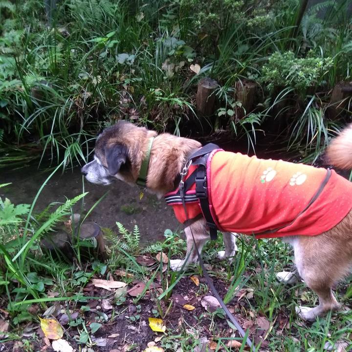 25852702 09f4 45a0 8817 388aa89b34cd 1571183626289