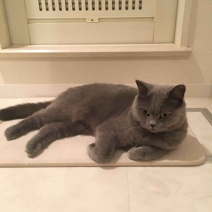 25859f4d 0992 40bb bc1f 880c1e8bf543 1511878676377