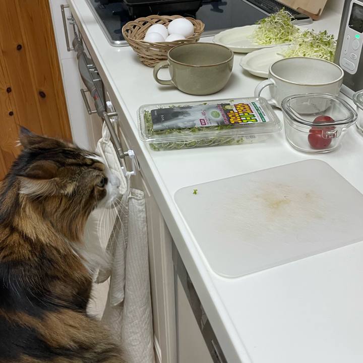 2585d7c0 0267 48de acf7 03abde45cccb 1766954402086