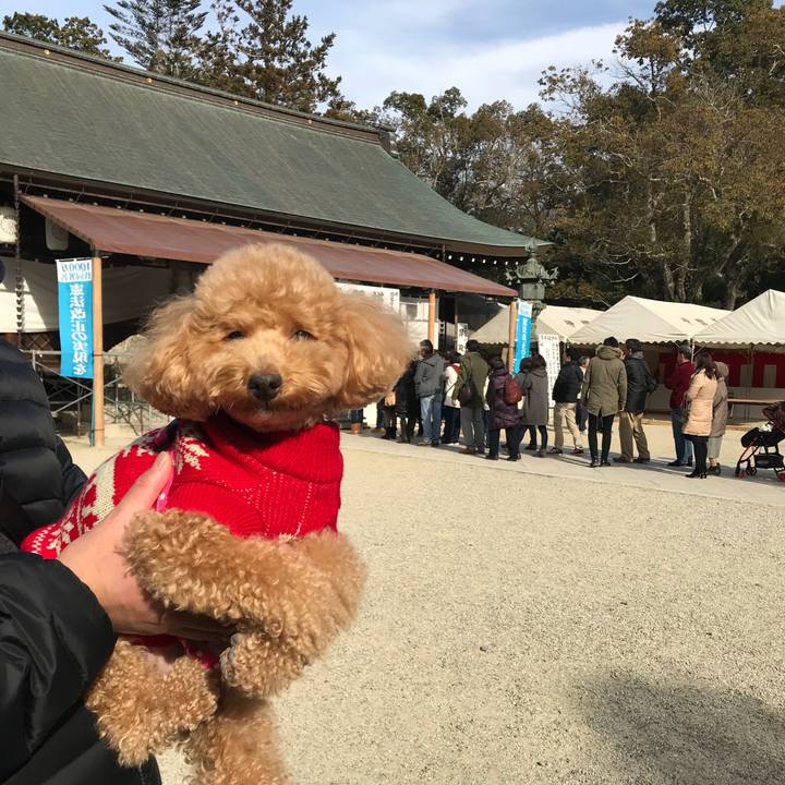 25860a11 f529 4b77 af55 b9ff4e2403d2 1515301546558