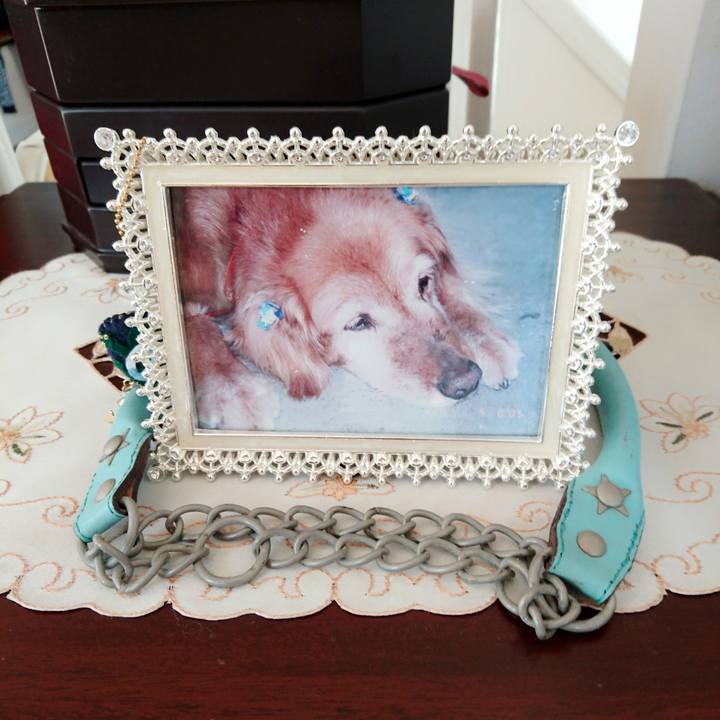 258679b1 995b 4f8d a9dd e701c8e7ec2e 1518309429182