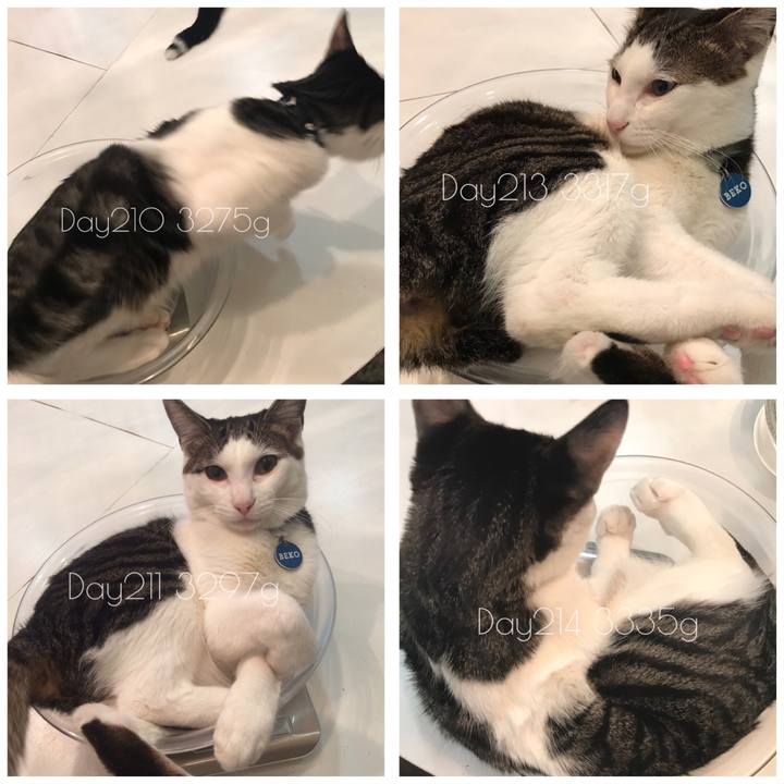 2586961d cc9d 4538 b734 94422592c92f 1511417113283