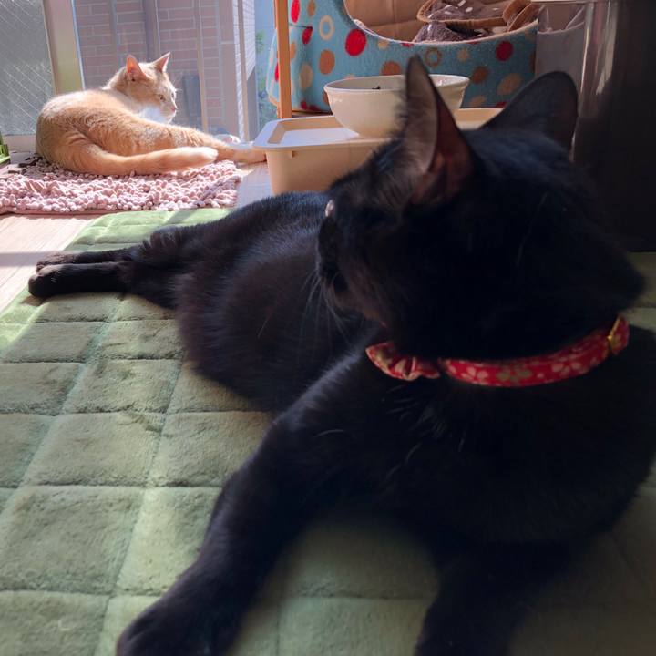 25869691 88db 4fcc 96b0 0a5bd8d71eac 1524359880083