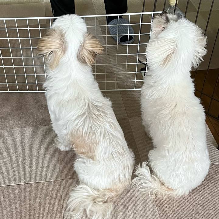 2586a9bb d7af 4b06 849e 3cffddddaf41 1684968957977