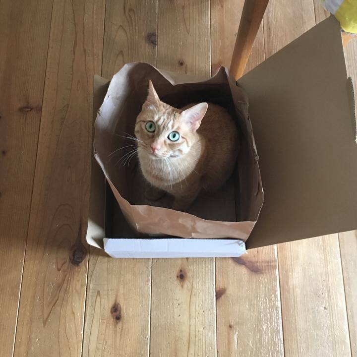 2586c05e cf88 4cab b7ff 401acae28970 1562718577244