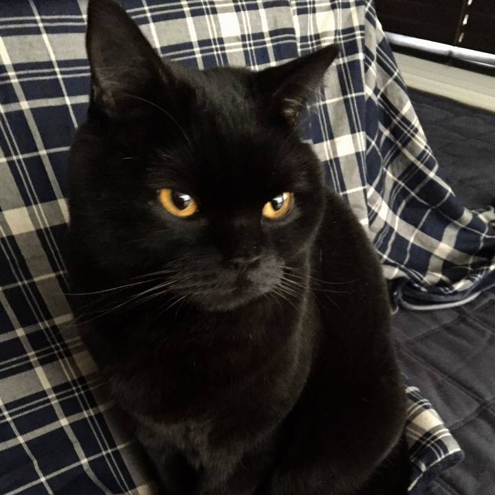 2586d33d 5a1a 4e42 96dc df56550c3443 1517706830960