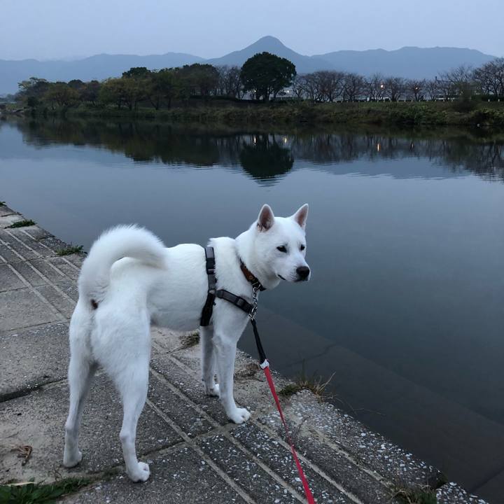 2586f10d 6e66 4617 a7d4 c898a40dae90 1543619914672