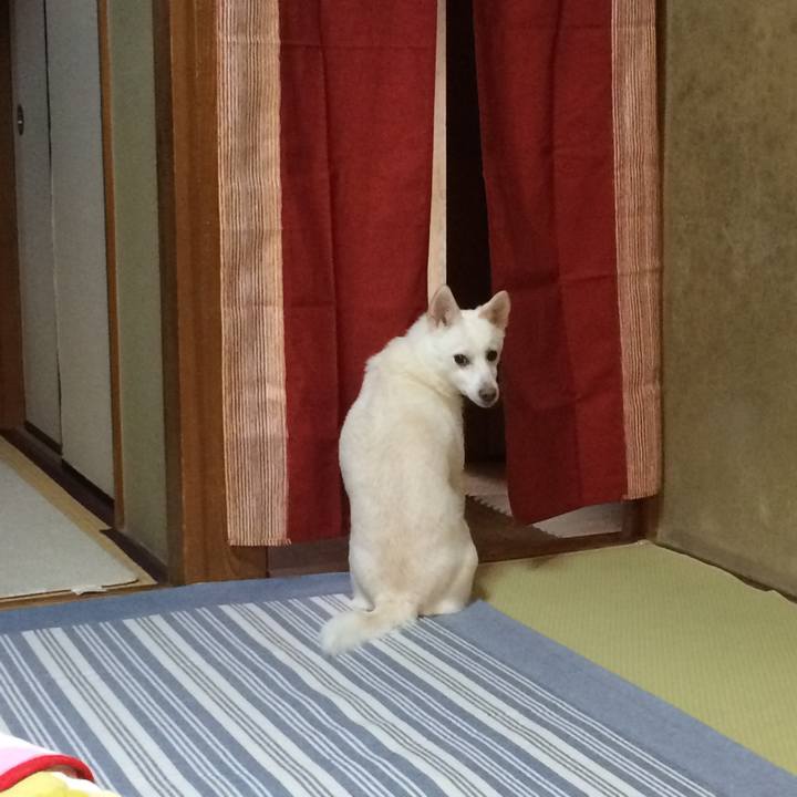 25873109 793e 4c3c 8619 c2cf48b044dc 1541375500846