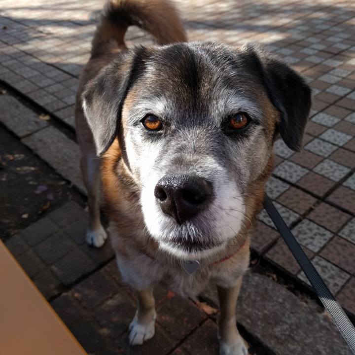 25879ed2 e6dd 416e 8083 8bb443a34494 1515548770380