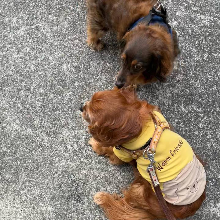 2587db29 3f66 4023 8c6e 35c1bc70de9e 1743240298433