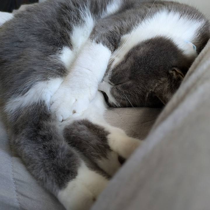 2587dded 4425 4a2c b63a 3ba87c216130 1728873230583