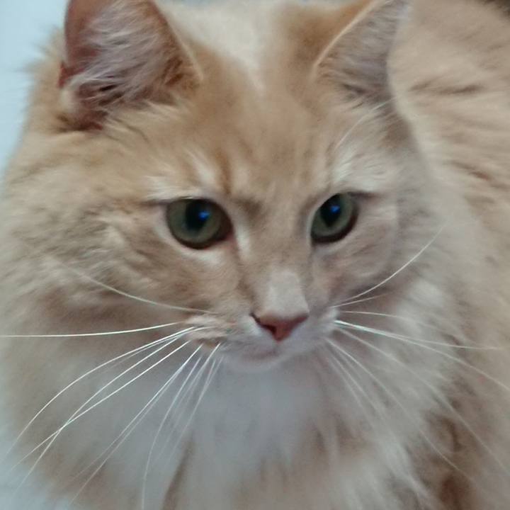 2587dfbd e321 4e88 b8c6 a732578cebe3 1524105591106