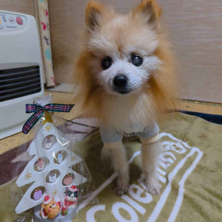 2587e405 6fa6 43eb a588 58d51b3bc90a 1735024438455